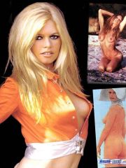 Brigitte Bardot celebrity nude pictures