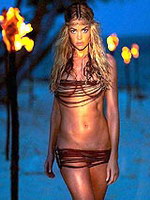 American actress Denise Richards..