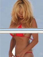 Paparazzi pics of celeb Pamela Anderson