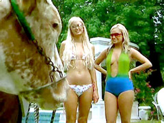 Paris Hilton in a bikini plays with a..