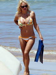 Beauty celebrity Pamela Anderson nude